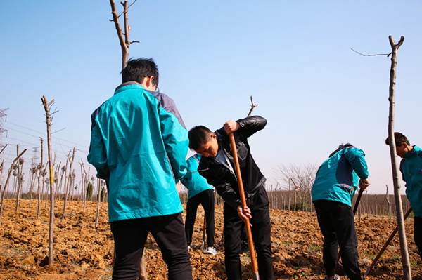 “攜手植樹，共創藍天”丨南京新華師生共筑新華育才林