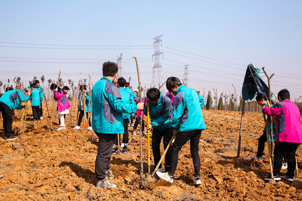 “攜手植樹，共創藍天”丨南京新華師生共筑新華育才林