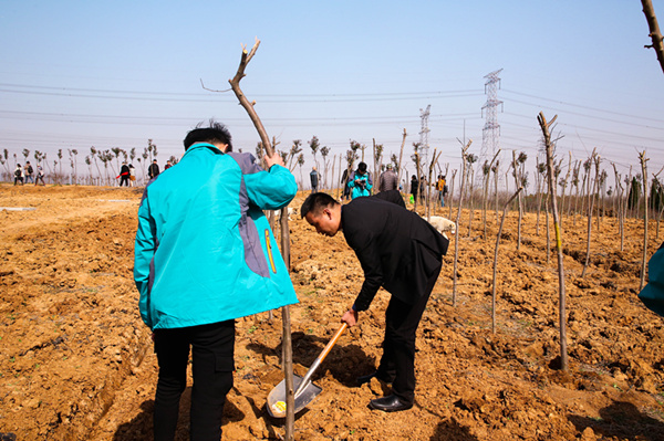 “攜手植樹，共創藍天”丨南京新華師生共筑新華育才林