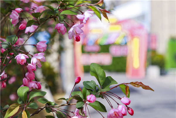 春暖花開，等你歸來——邀你云賞南新春景，以慰思念
